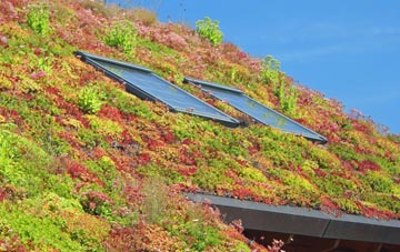 Wainfleet Bank living roof systems